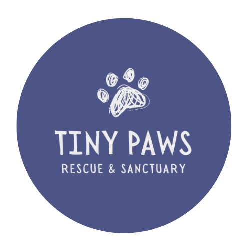 Tiny Paws Rescue