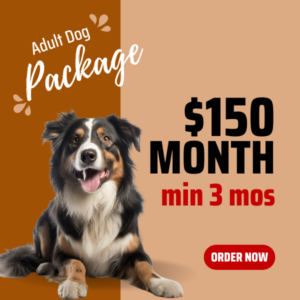 Adult Dog Package