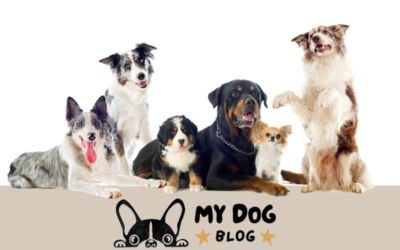 Invoke Solutions Launches MyDogBlog