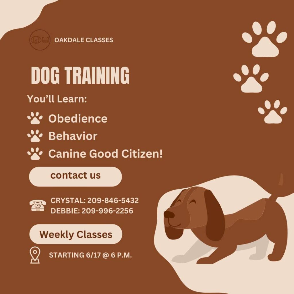 Dog Training