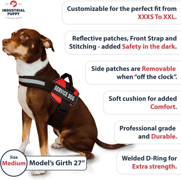 Components of Service Dog Vest