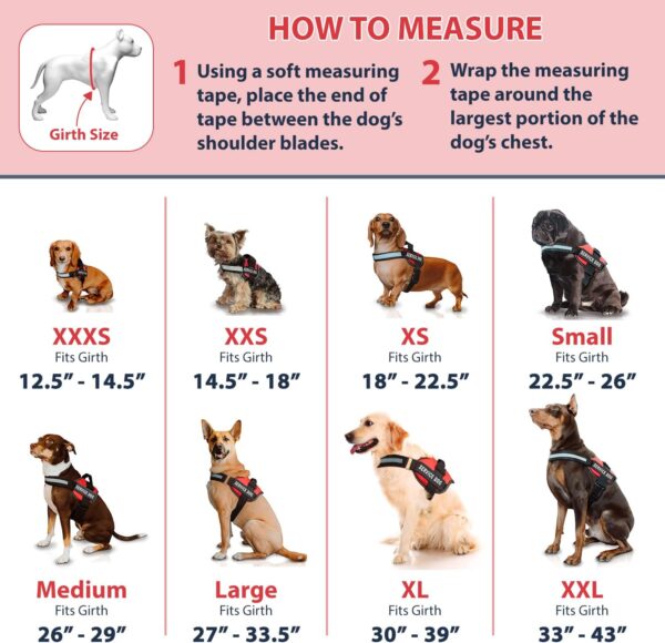 Service Dog Vest Sizes