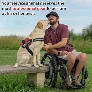 Service Dog Vest