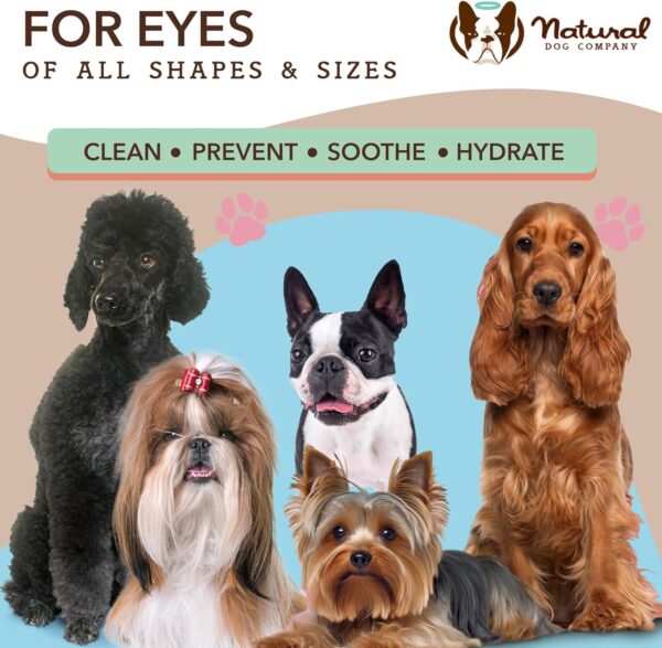 Dog Eye Wipes - Image 2