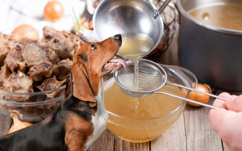 Benefits of Bone Broth