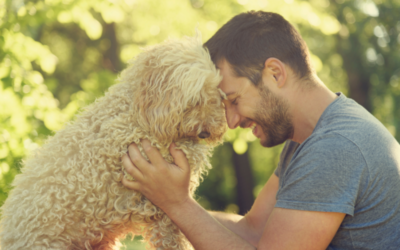 DOGS: Our Best Friends in Sickness and in Health