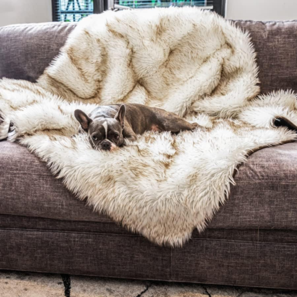 Waterproof Dog Blanket