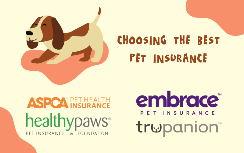 Which Pet Insurance is Best for You?