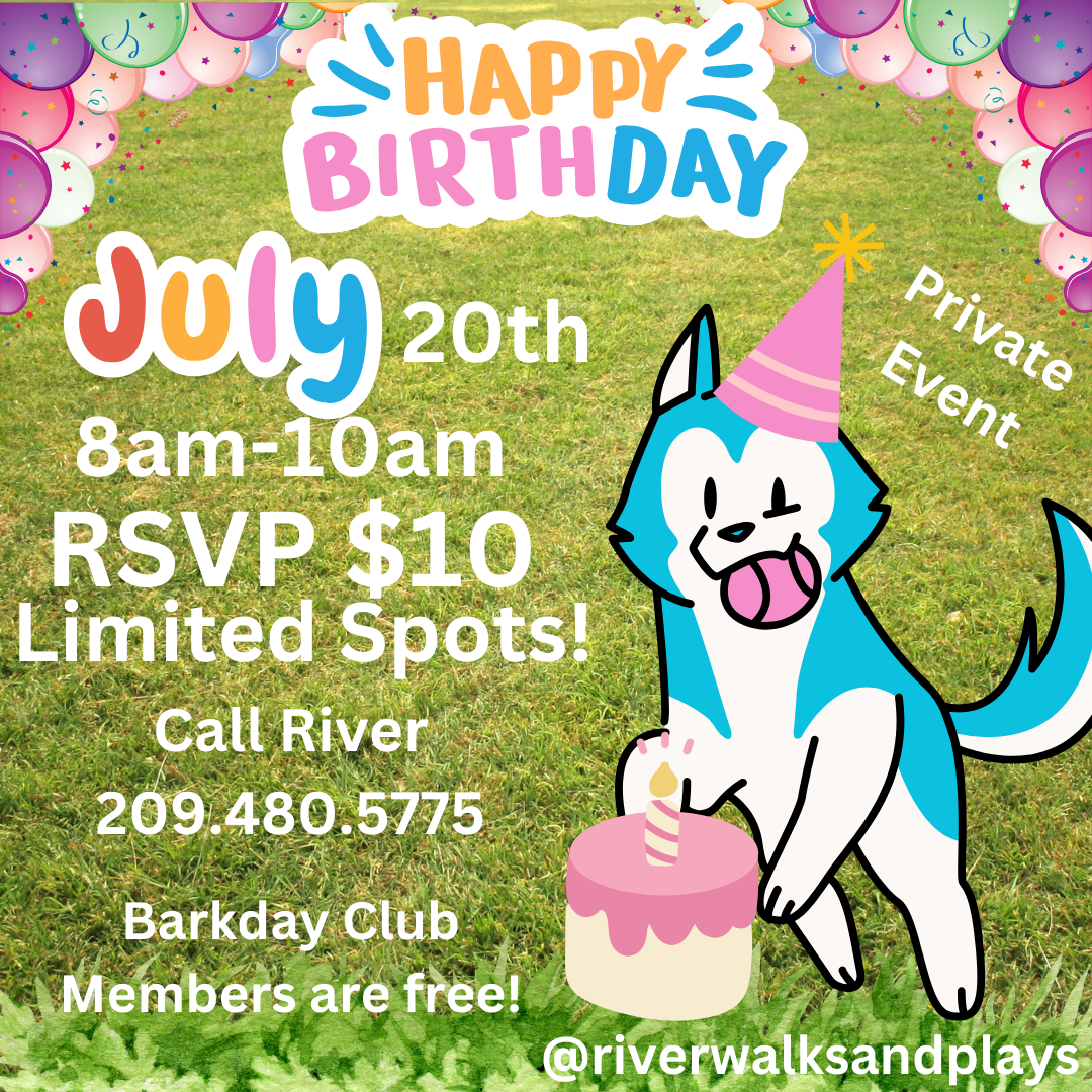 Barkday Party by River Walks n Plays